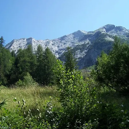 Отель Hotel La Sponda 3*