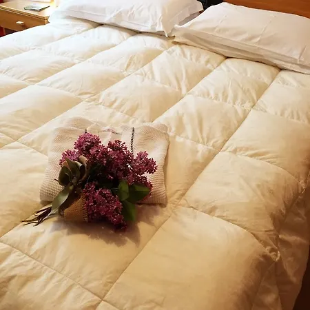 Hotel La Sponda 3*